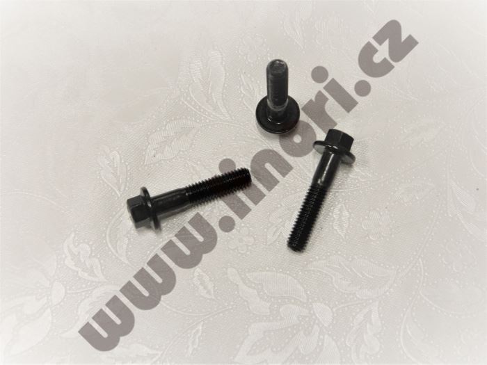 Šroub hex M6x1,00x30