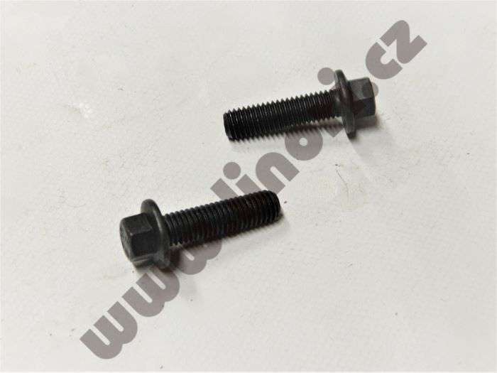 Šroub přípojky výfuku M8x30  ( celozávit )